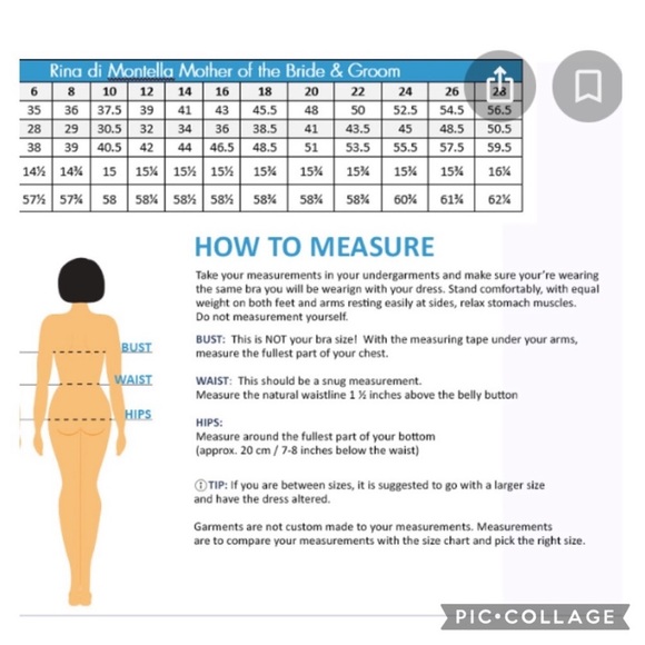 Rina DiMonttela Mother of the Bride Dress &Jacket NWT - Picture 4 of 4